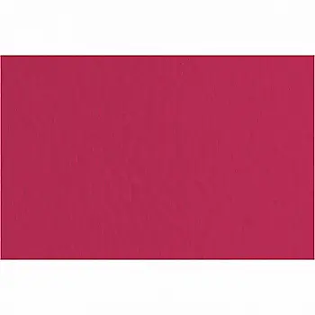 Бумага для пастели Tiziano 50*70 24 viola 160г. (фиолетовый)