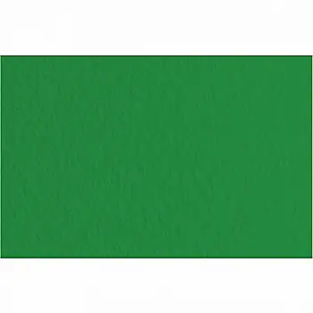 Бумага для пастели Tiziano 50*70 37 biliardo 160г. (зелёный)