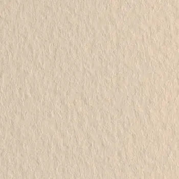 Папір для пастелі Tiziano 50*70 40 avorino 160г.(кавовий)