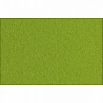 Бумага для пастели Tiziano 50*70 43 pistacchio 160г. (фисташковый)