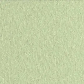Папір для пастелі Tiziano А-4 11 verduzzo (салатовий)