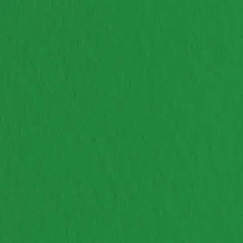 Бумага для пастели Tiziano А-4 12 plato (зелёный)