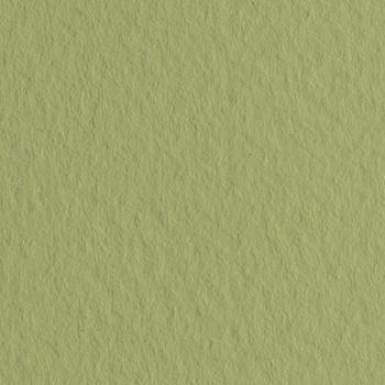 Папір для пастелі Tiziano А-4 14 muschio (оливковий)