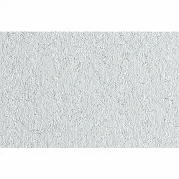 Бумага для пастели Tiziano А-4 32 brina (белый)