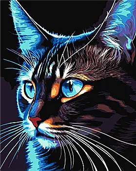 Набор для росписи по номерам 40х50 см "Космо-кот", 900-049