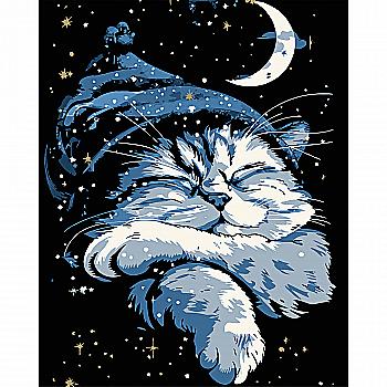 Набор для росписи по номерам 40*50 см "Кот во сне" на черном фоне, AH1170-8 ТМ "Strateg"