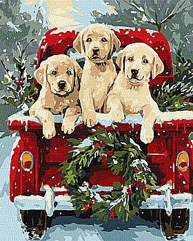 Набор для росписи по номерам 40*50 см "Собачья поездка", KHO6838, ТМ "Ideyka"