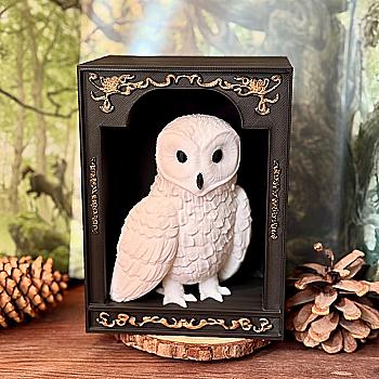 Букнук "Сова"