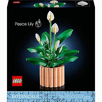 Конструктор Lego Botanicals "Спатифілум", 11504