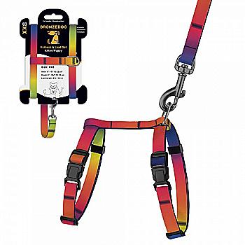 Шлея с поводком для кошек и мелких собак TM Barksi Urban ART, размер XS, градиент