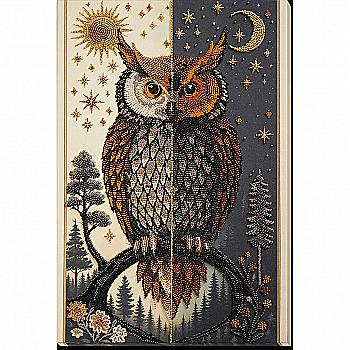 Набор для вышивки бисером на натуральном холсте "Оракул дня и ночи", AB-960