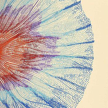 Набор для вышивания Абстрактный цветок, 55013, Miniart-Crafts