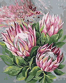 Картина по номерам 40*50 см "Розовые протеи ©Анна Иноземцева", BS54555