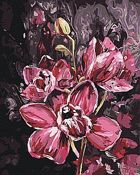 Картина по номерам 40*50 см "Темные орхидеи © Анна Иноземцева", BS54557