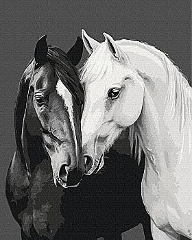 Картина за номерами 40*50 см "Чорне і біле серце", BS54418