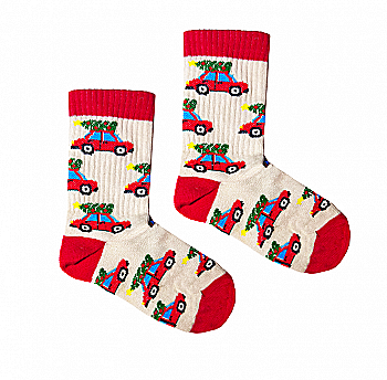 Дитячі шкарпетки "Машинки" 31-34, DKS010