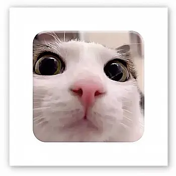 3D-стікер "Я все бачу"