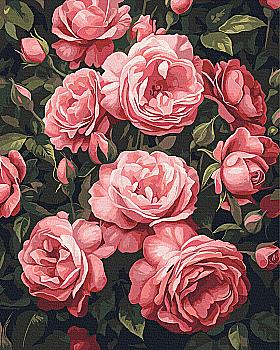 Картина по номерам 40*50 см «Ароматный куст пионов», BS54275