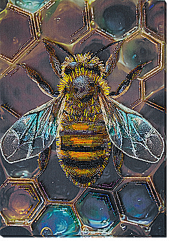 Набор для вышивки бисером на натуральном холсте "Медовый мотив", AB-950