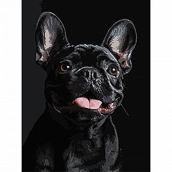 Картина по номерам 30*40 см "Французский черный бульдог" на черном фоне, FH-32 ТМ "Strateg"