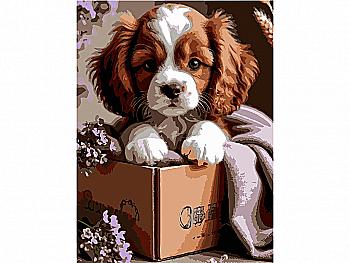 Картина по номерам 30*40 см "Щенок в коробке", SS-1287) ТМ "Strateg"