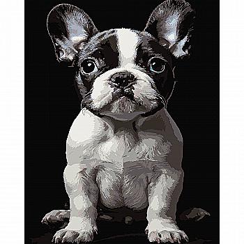 Картина по номерам 40*50 см "Маленькая собака" на черном фоне, AH1277 ТМ "Strateg"