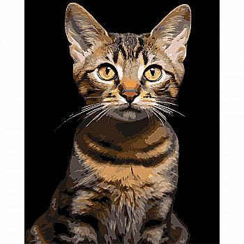 Картина по номерам 40*50 см "Полосатый кот" на черном фоне, AH1284 ТМ "Strateg"
