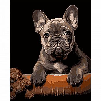 Картина за номерами 40*50 см "Французький бульдог" на чорному фоні, AH1293 ТМ "Strateg"