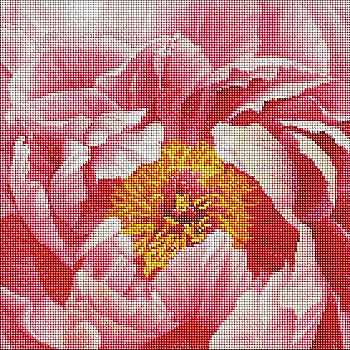 Набір з алмазною мозаїкою "Барвиста півонія ©ArtAlekhina" 40*40 см, AMO7273 ТМ "Ідейка"