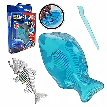 Лаборатонний набір "Акула" скелет, внутрішні органи, 802B