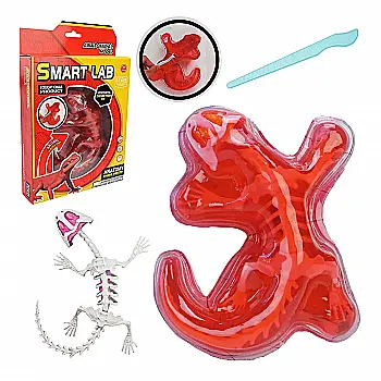 Лаборатонний набір "Ящірка" скелет, внутрішні органи, 803B