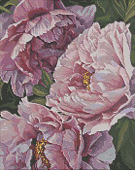 Набір з алмазною мозаїкою "Магія квітів" 40*50 см, AMC7652 ТМ "Ідейка"