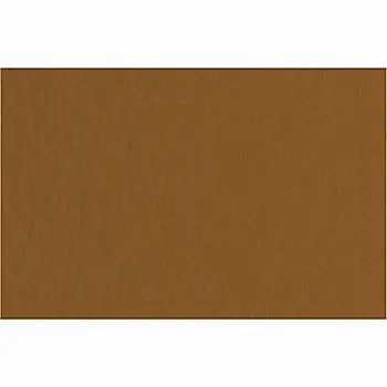 Папір для пастелі Tiziano 50*70 09 caffe 160г. (коричневий)