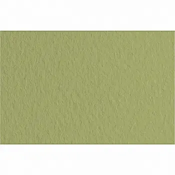Папір для пастелі Tiziano 50*70 14 muschio 160г.зелений