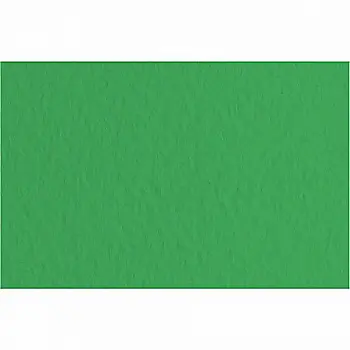 Папір для пастелі Tiziano А-4 12 plato (зелений)
