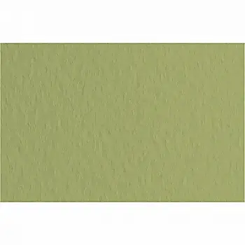 Папір для пастелі Tiziano А-4 14 muschio (оливковий)