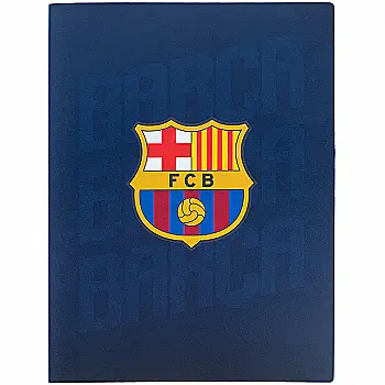 Дисплей-книга, А4, 20 файлов, BC, BC25-249