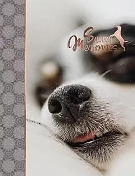 Фотоальбом Ufo 10*15*200 PP-46200 Enjoy