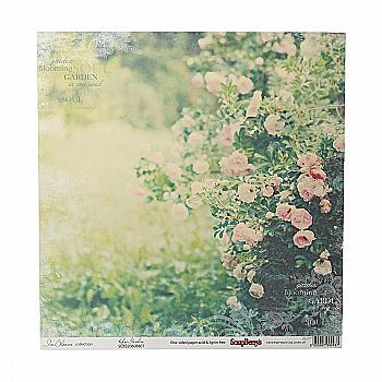 Бумага для скрапбукинга 30,5х30,5 см 190 гр/м односторонняя Цветущий Сад Дикие розы