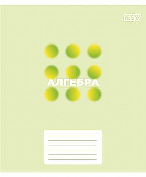 Тетрадь YES 48 кл. Предметка – Алгебра (Concept notes) выб. гибрид. лак, 768528