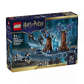 Конструктор Lego Harry Potter "Запретный лес: Экспекто па.." 76475