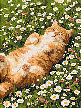Картина за номерами 30*40 см "Котик у ромашках", RBS1064