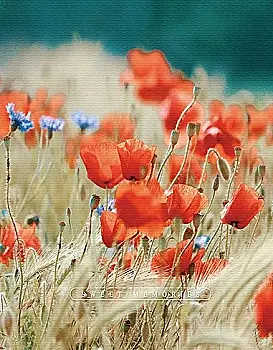 Фотоальбом Ufo 10*15*200 PP-46200 Poppies