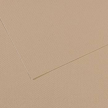 Бумага для пастели MI-TEINTES 50*65 см 160 г/м2 №343, серо-бежевый Canson Бумага для пастели MI-TEINTES 50*65 см 160 г/м2 №343, серо-бежевый Canson