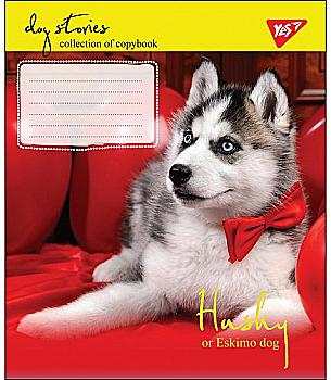 Зошит 18 лін. YES "Dog stories", 764693 Зошит 18 лін. YES "Dog stories", 764693