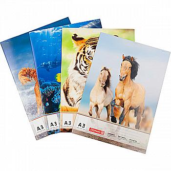 Альбом-cклейка для малювання А3 10 арк. 100 г/м2, 1047903 Альбом-cклейка для малювання А3 10 арк. 100 г/м2, 1047903