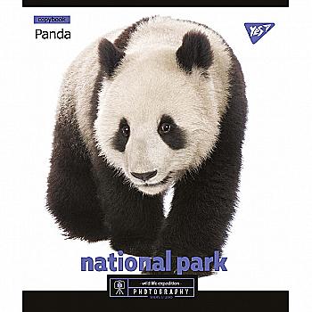 Тетрадь 96 кл. YES "Wild portrait", 765307