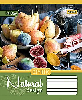 Зошит 60 кл. 1В Natural Fruits -17, 760418 (6649) Зошит 60 кл. 1В Natural Fruits -17, 760418 (6649)