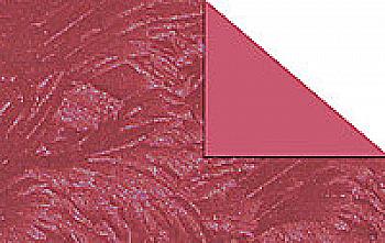 Картон "Металик"230г 20*30см легке тиснен.темно бордов. UR 16892225R