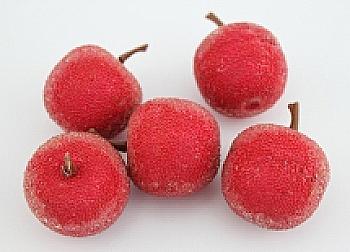 Декор Яблоко в сахаре, 1 шт, 5-21017